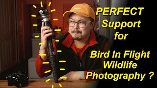 BENRO SupaDupa Pro Carbon Monopod  A clever stick for heavy lens and gear setup  RED35 Review [upl. by Humph338]