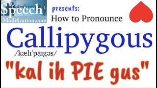 How to Pronounce Callipygous [upl. by Dalury]