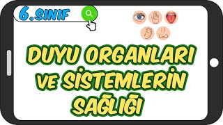 Duyu Organları ve Sistemlerin Sağlığı 📗 6Sınıf Fen 2023 [upl. by Roswell502]