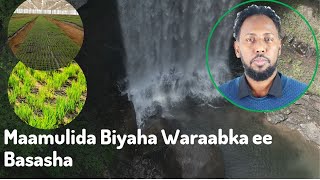 Maamulida Biyaha Waraabka ee Beeraha Basasha [upl. by Trefler]