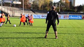 Fotbalová akademie FC Hradec Králové [upl. by Bjork]