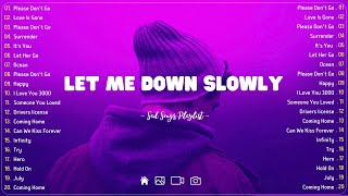 Let Me Down Slowly💔 Sad songs playlist with lyrics  Depressing Songs 2023 That Will Cry Vol 2311 [upl. by Oirtemed]