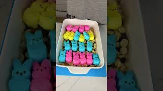 Easy Easter Smores Recipe with Peeps [upl. by Rie]