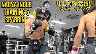 井上尚弥 激しいトレーニングとスパーリング  Naoya Inoue Intense Training and Sparring  Pro Punch Sports TV [upl. by Leboff]