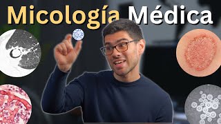 Introducción a los Hongos  Curso Micología Médica [upl. by Slaughter]