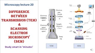 Differences between Transmission TEM amp Scanning Electron microscopy SEM  Microscopy lecture 20 [upl. by Jilly]