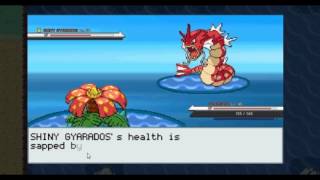 Shiny Gyarados in PokeMMO [upl. by Elyk]