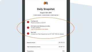 Reading your Payanywhere Daily Snapshot emails Holds [upl. by Isadore636]