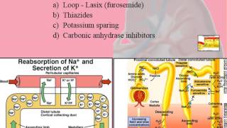 Renal System  Physiology  Part 6 Treatment  Brief Pharmacology [upl. by Tarrant]