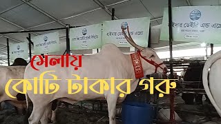 প্রাণী সম্পদ প্রদর্শনী ২০২৪। Biggest Livestock Exhibitions In BD। Boycott Indian Products [upl. by Tobie]