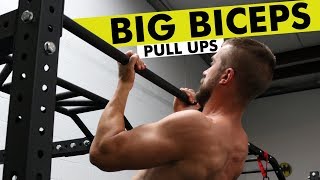 Pull Up Variations for BIG Biceps [upl. by Dnalel]