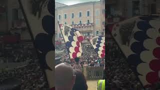 Palio di Siena 2024  Opening Ceremony Highlights palio horse horseracing jockey [upl. by Almita]