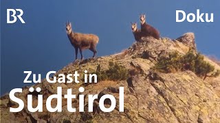 Berggasthöfe und Buschenschänken in Südtirol  Unter unserem Himmel  BR  Doku  Berge [upl. by Gussi640]