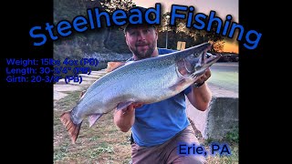 PB Huge Steelhead  Erie PA [upl. by Maidy265]