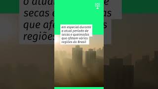 Queimadas aumentam risco de danos à visão alerta especialista [upl. by Corrine]