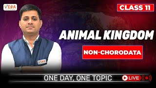 Nonchordata I  Animal Kingdom  class 11  Biology  One Day One Topic [upl. by Imer]