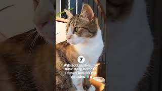 Which country has the most cats Audio explainlikeim6 catsofworld shorts catpopulation catlover [upl. by Viridis]