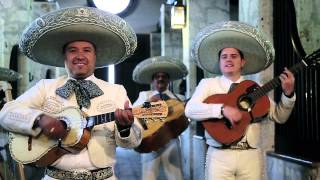 México Voz Que Canta  Mariachi Nuevo Tecalitlan Videoclip Oficial 2016 [upl. by Oos]