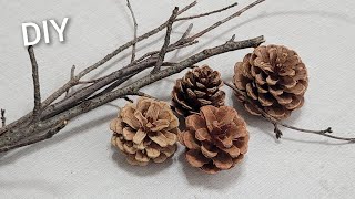 So Beautiful  Look what I Made with Pine cone and tree branch Christmas Home decor  DIY Recycling [upl. by Erlewine29]