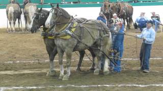 Heavyweight Team Full Pull 10000 lbs [upl. by Benny]