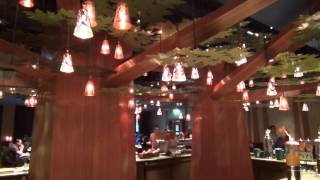 Golden Forest Lounge at Disney’s Sequoia Lodge 2014 [upl. by Viveca387]