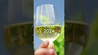 Nueva añada vinos jóvenes DO La Mancha [upl. by Htidra]