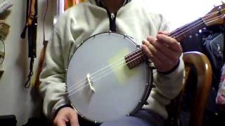 4 String Mandolin Banjo tuned octave below with Nylon Strings [upl. by Nimajnab10]