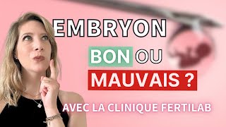 Webinaire  Questce quun bon embryon  Avec la clinique Fertilab [upl. by Gawlas]