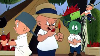 Elmer Fudd VS Ants  Classic Looney Tunes Cartoon [upl. by Prader193]