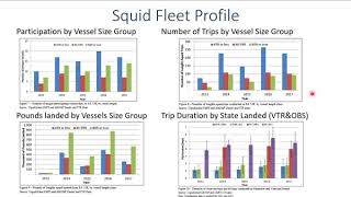 Characterization of Inshore Springtime Small Mesh Trawl Fishery for Longfin Squid [upl. by Hu512]