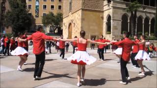 50 anys Colla Maig  Sardanes a Montserrat 19042015 [upl. by Anolahs115]