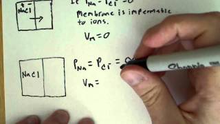 Resting Membrane potential and electrical properties of the cell [upl. by Mil]