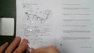 AP Bio Sig Transduction Pogil [upl. by Naej924]