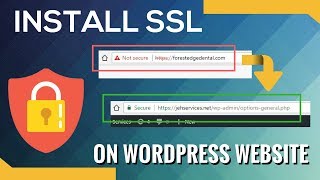 SSL on Wordpress  How I activate HTTPS on WordPress Sites No plugin required [upl. by Atinuaj]