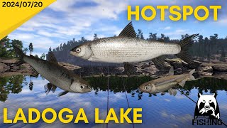 Ladoga Lake Whitefish hotspot Russian Fishing 4 [upl. by Wymore]