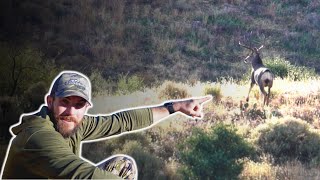 Chasing Arizona’s GIANT Muleys [upl. by Krasner]