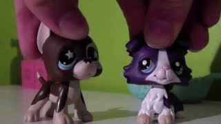 Littlest Pet Shop  Beautiful Episode 1  Shes back Saison 3 [upl. by Airetnuhs863]