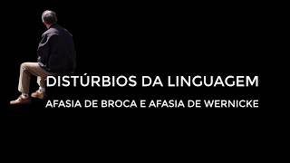 NEUROPSICOLOGIA CLÍNICA  DISTÚRBIOS DA LINGUAGEM  AFASIA DE BROCA E DE WERNICKE  DEMONSTRAÇÃO [upl. by Tiffani181]