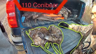 Muskrat Trapping With 110 Conibears Multiple Catches [upl. by Frechette]