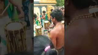 Kerala music in ipet grama bajana [upl. by Renard]