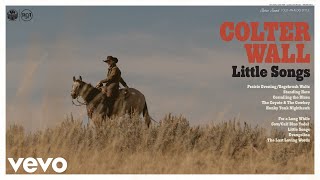 Colter Wall  Corralling the Blues Audio [upl. by Oicam771]