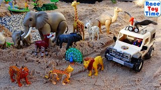 Playmobil Wildlife Safari Toy Sets For Kids  Fun Build and Play [upl. by Llerred]