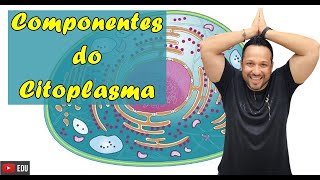 Componentes do Citoplasma  Composição das Células  Partes da Célula  Citologia [upl. by Watters]