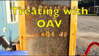 Treating Our Observation Hive For Mites [upl. by Eelasor]