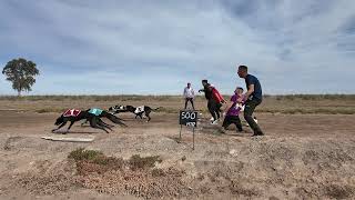 5 Carrera de La Liga de la FEG y Campeonato de Andalucia de Liebre Mecanica [upl. by Nnyleimaj]