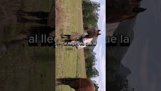 Una historia con una moraleja impactantequotEstrella✨PARTE III animalsalvaje viralvideo curiosidades [upl. by Annaujat]