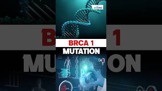 What is a BRCA Gene Mutation 🤔 ndascience sciencebyswatimam [upl. by Erot384]