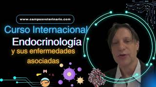 Curso Internacional en Endocrinología y sus enfermedades asociadas [upl. by Haropizt]