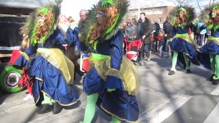 Aalst Carnaval 2014  Schelmeroi [upl. by Aihcropal589]