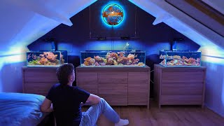 NO Skimmer NO Filter Dannys Aquariums reveals his SECRETS [upl. by Elleraj]